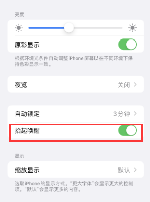 鹿邑苹果授权维修站分享iPhone轻点无法唤醒怎么办