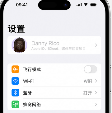 鹿邑appleID维修服务iPhone设置中Apple ID显示为灰色无法使用 