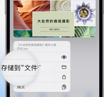 鹿邑apple维修中心分享iPhone文件应用中存储和找到下载文件