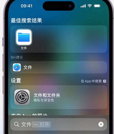 鹿邑apple维修中心分享iPhone文件应用中存储和找到下载文件 