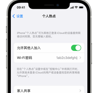 鹿邑apple服务站点分享iPhone上个人热点丢失了怎么办 