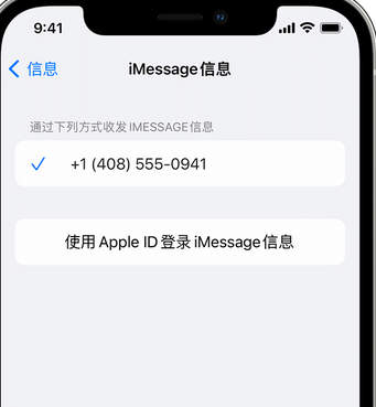 鹿邑apple维修iPhone上无法正常发送iMessage信息 