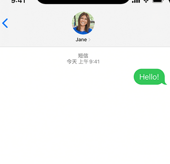 鹿邑apple维修iPhone上无法正常发送iMessage信息