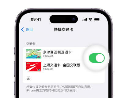 鹿邑apple维修点分享iPhone上更换Apple Pay快捷交通卡手绘卡面 