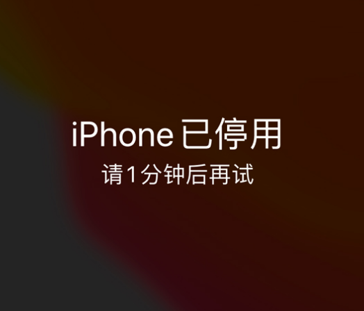 鹿邑苹果手机维修分享:iPhone 显示“不可用”或“已停用”怎么办？还能保留数据吗？ 