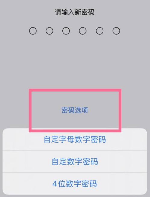 鹿邑苹果14维修分享iPhone 14plus设置密码的方法 