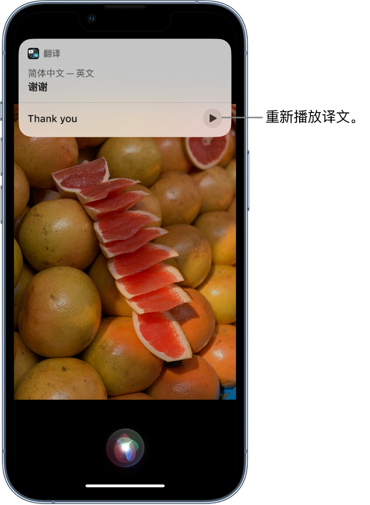 鹿邑苹果14维修分享 iPhone 14 机型中使用 Siri：了解 Siri 能帮你做什么 