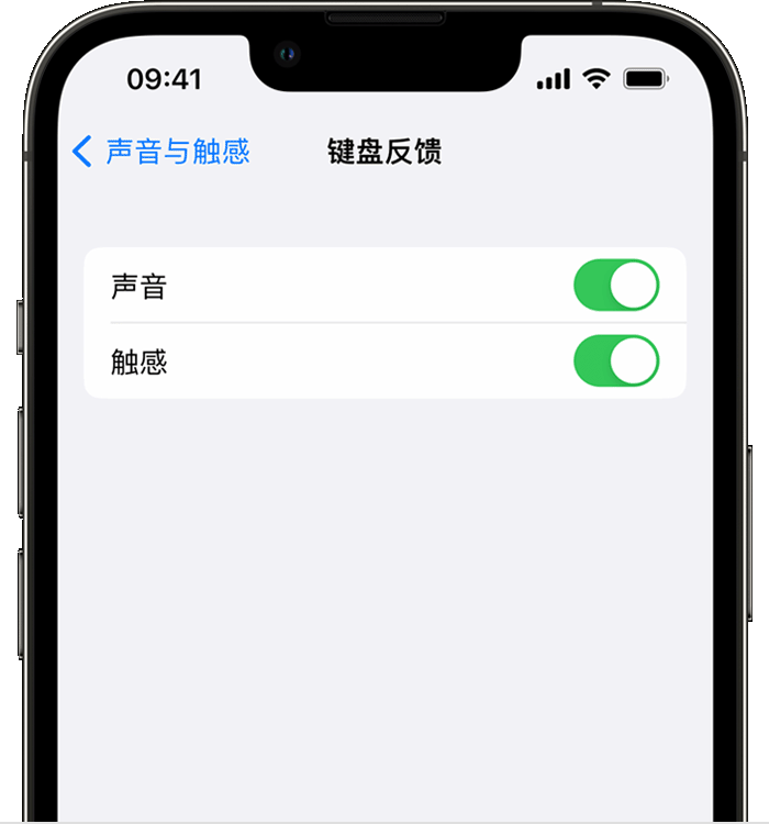 鹿邑苹果14维修分享iPhone 14 系列机型如何开启键盘声音或触感反馈 