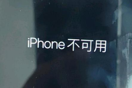 鹿邑苹果服务网点分享锁屏界面显示“iPhone 不可用”如何解决 