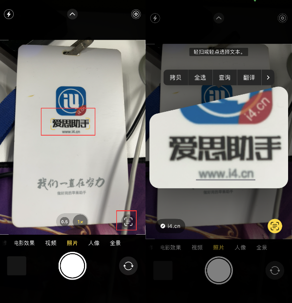 鹿邑苹果手机维修分享升级iOS 16后如何通过相机翻译文本 