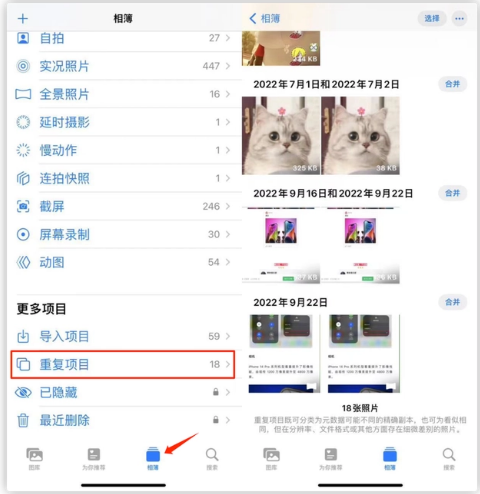 鹿邑苹果手机维修分享iOS 16 中相册重复项目功能使用方法 