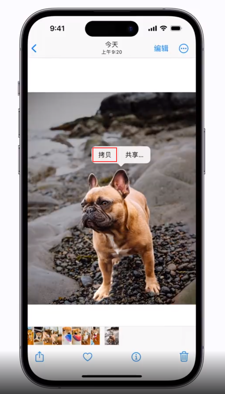 鹿邑苹果手机维修分享 iOS 16 自带一键抠图功能 