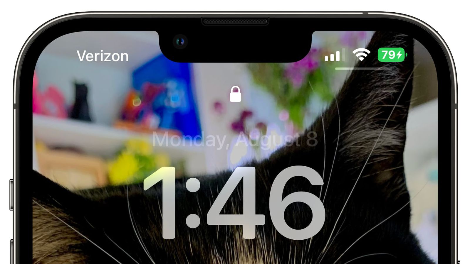 鹿邑苹果手机维修分享iOS 16 beta 5 支持状态栏显示电池百分比，如何开启？支持哪些机型 
