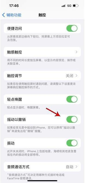 鹿邑苹果手机维修分享iPhone手机如何设置摇一摇删除文字 