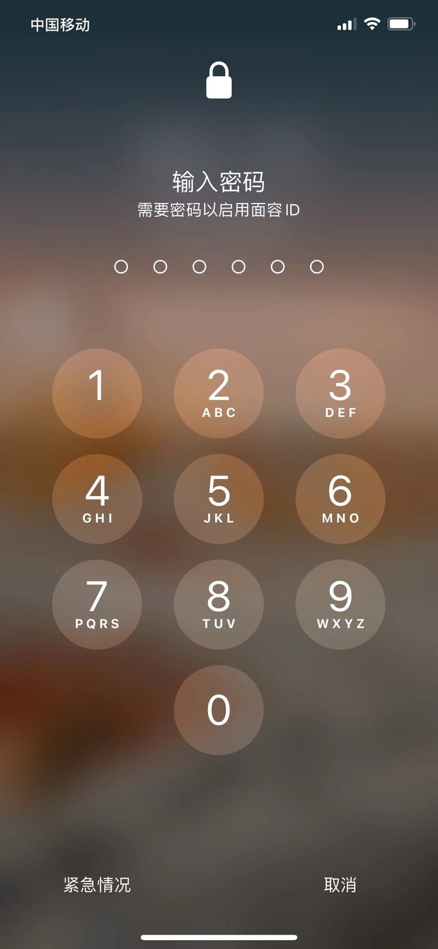 鹿邑苹果13维修分享iPhone 13加强锁屏功能有什么用 