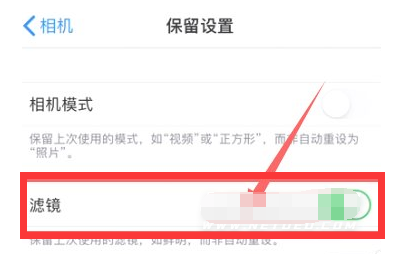 鹿邑苹果13维修分享iPhone13拍照有绿点是怎么回事 