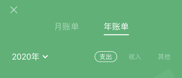 鹿邑苹果手机维修分享如何在 iPhone 上查看支付宝和微信年支出账单 